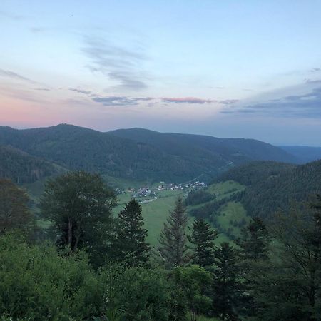 Forest Apartment-Forest Escape Menzenschwand St. Blasien Eksteriør bilde