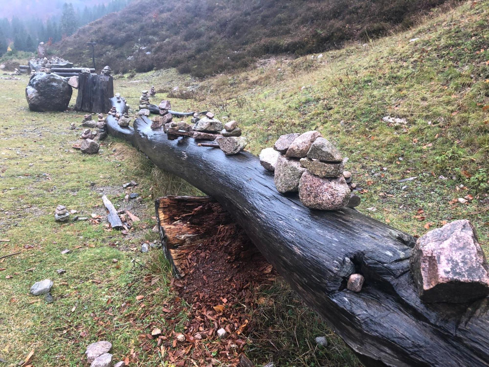Forest Apartment-Forest Escape Menzenschwand St. Blasien Eksteriør bilde