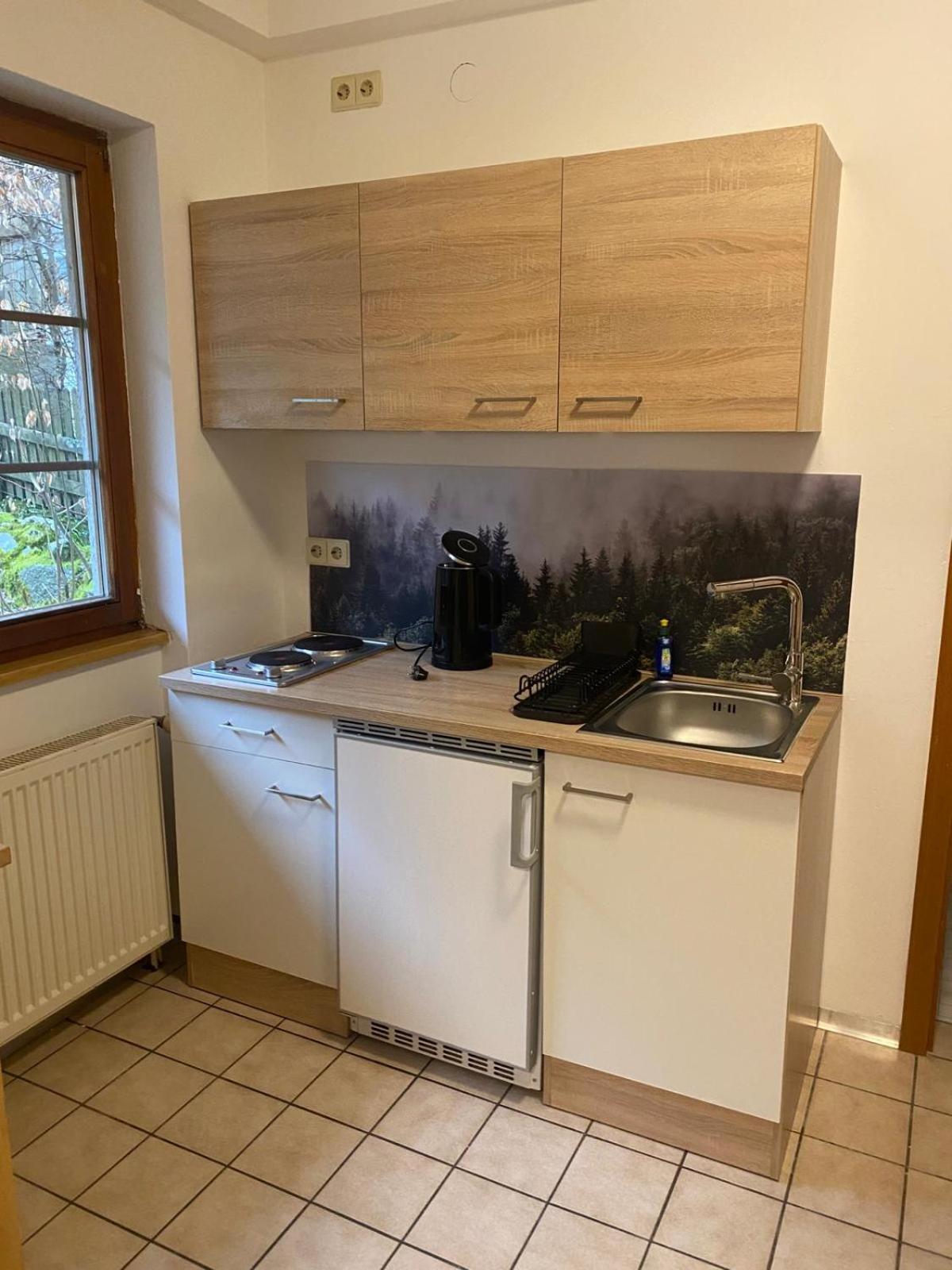 Forest Apartment-Forest Escape Menzenschwand St. Blasien Eksteriør bilde